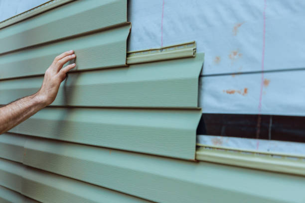 Best Siding Painting and Refinishing  in Appleton City, MO